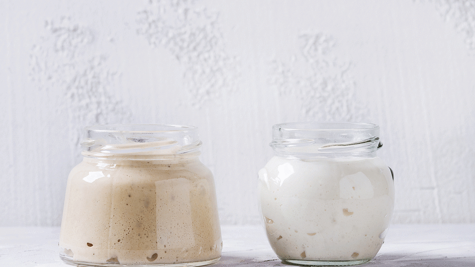 Sourdough starter in jars