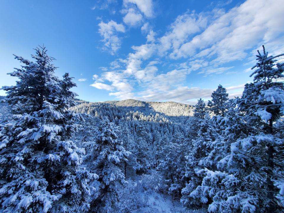 Scenic route view of snow on trees within the Lincoln Nation Forest captured during the winter of 2023.