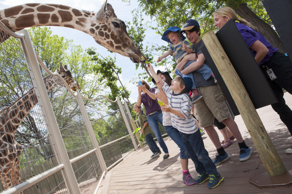 Denver Zoo (Charlotte Bassin)