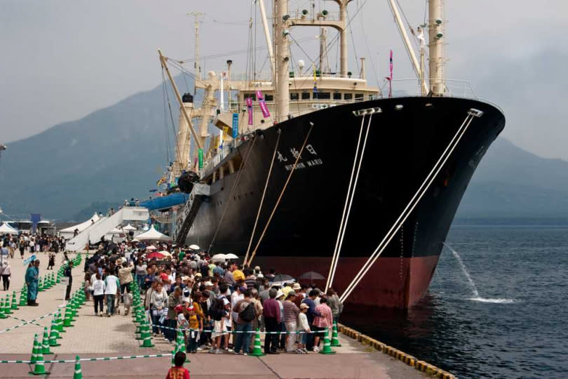 日本鹿耳島市港邊停靠的捕鯨船。(圖／shutterstock／達志)