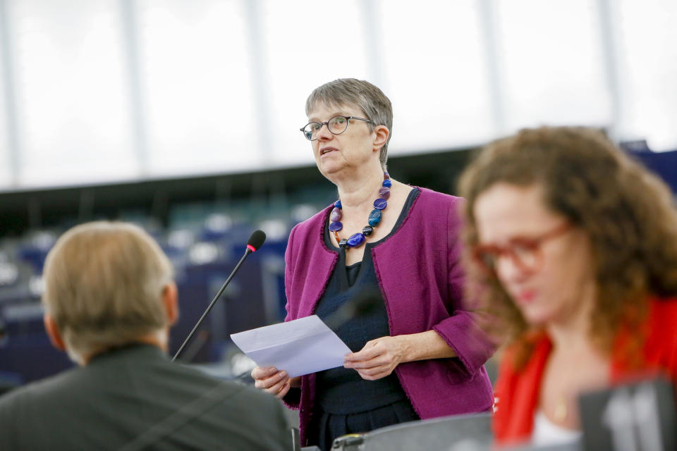Green MEP Molly Scott Cato apologised to MEPs for Hunt’s comments (European parliament)