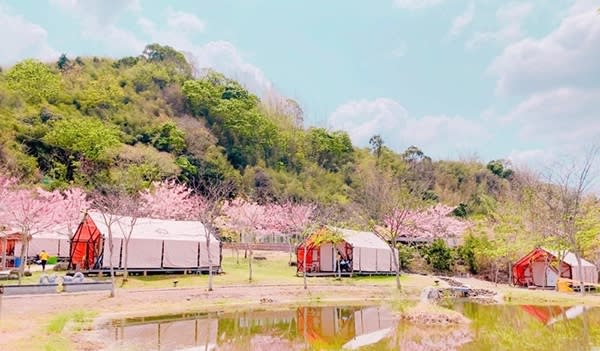 遠山望月露營區（圖片來源：高雄市政府觀光局）