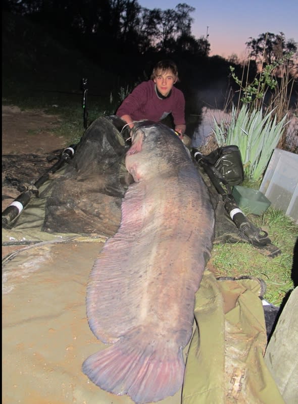 teen-catches-giant-catish-biggest-fish-in-britain-norfolk