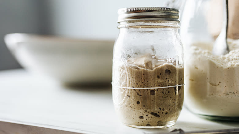 Sourdough starter in a jar with rubber band