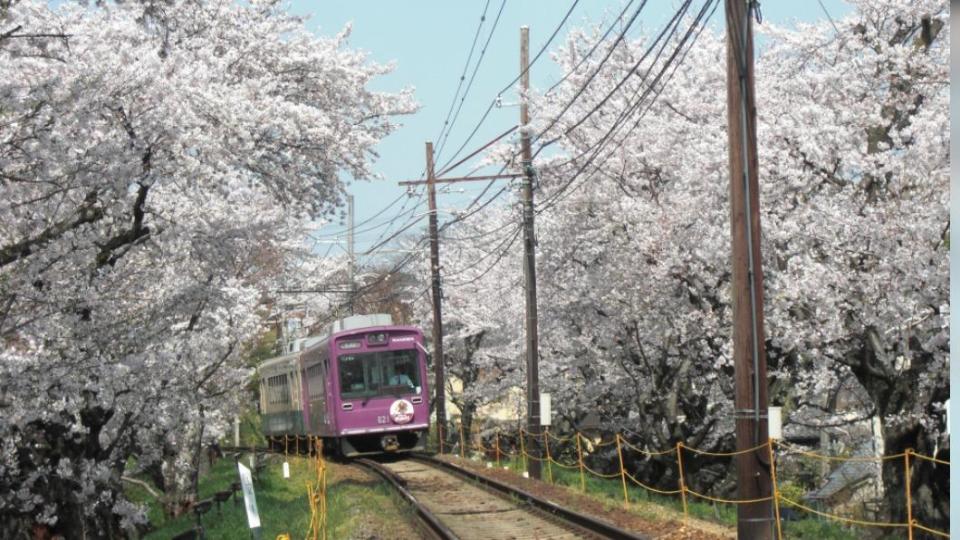 之前疫情加上物價波動，京都部分電車車費調帳，金閣寺門票也微調。(圖 / 京都市台灣推廣事務所 提供)