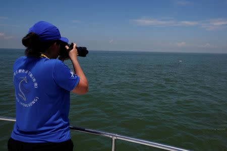 A members of SMRU Consulting, a marine mammal research group, takes photos of a Chinese white dolphin off Lantau island in Hong Kong, China May 30, 2018. REUTERS/Bobby Yip