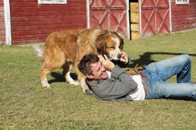 Dennis Quaid stars in <em>A Dog’s Purpose</em>. (Photo: Joe Lederer/Universal Pictures/Courtesy Everett Collection)