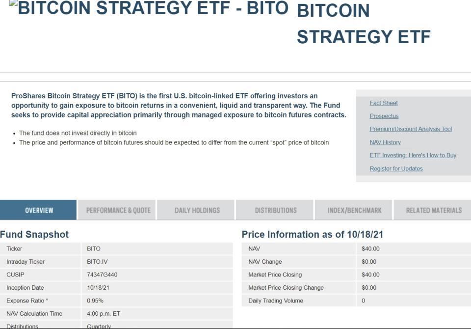 Bitcoin Strategy ETF (BITO)是首隻比特幣期貨ETF。