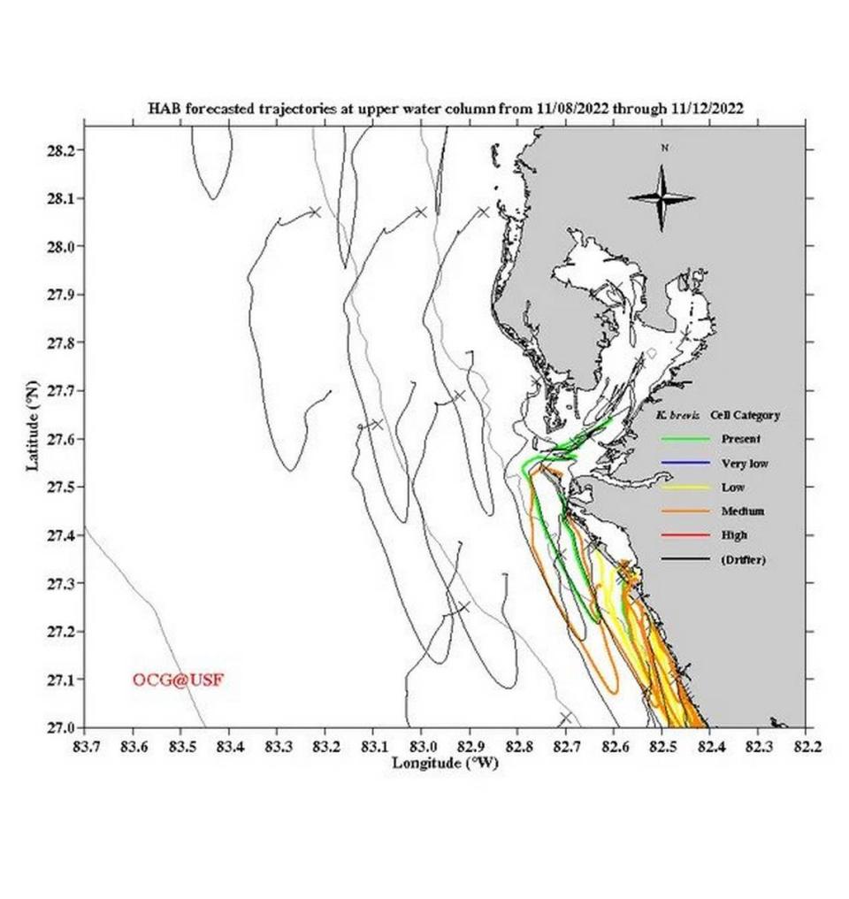 The latest Red Tide models from the University of South Florida, which run through Nov. 12, show small concentrations of the Red Tide-causing organism flowing into Tampa Bay over the next few days.