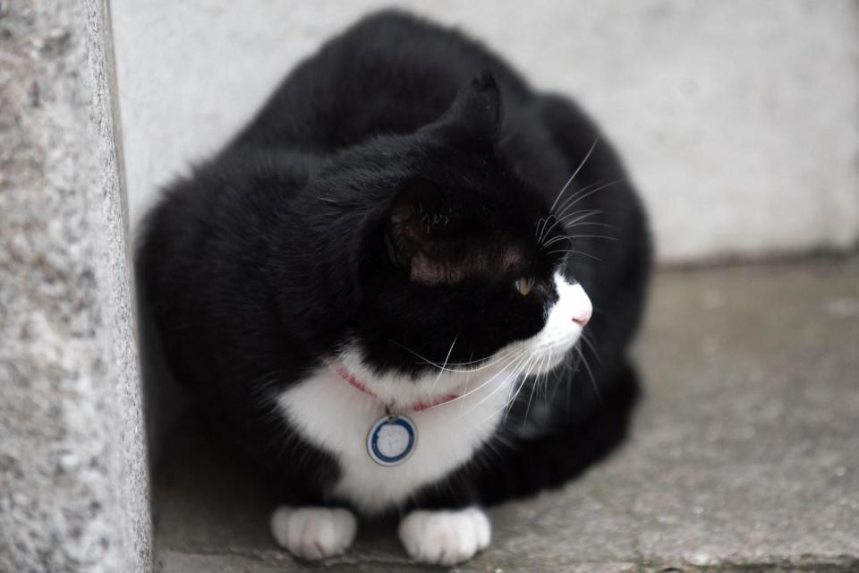 Illustrious forebear: Palmerston (Photo by Alberto Pezzali/NurPhoto via Getty Images)