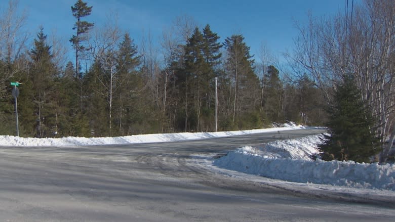 School bus drop-offs cancelled for some Halifax-area students