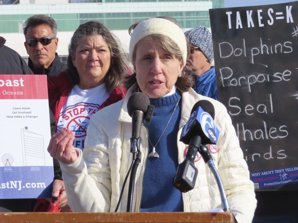 Cindy Zipf, executive director of the Clean Ocean Action environmental group, speaks at a press conference on the beach in Atlantic City, N.J., on Monday, Jan. 9, 2023, where a large dead whale was buried over the weekend. Several groups called for a federal investigation into the deaths of six whales that have washed ashore in New Jersey and New York over the past 33 days and whether the deaths were related to site preparation work for the offshore wind industry. (AP Photo/Wayne Parry)