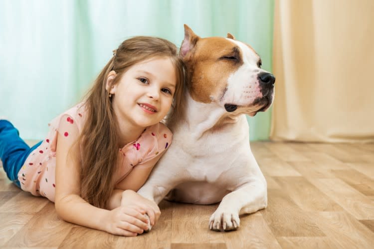 10 Best Stocks for Animal Lovers