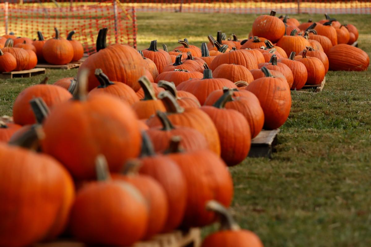 When is trickortreating, other Halloween activities, around Lebanon