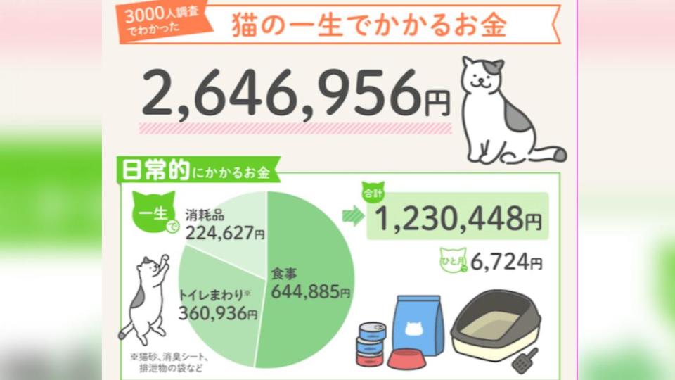 調查顯示，定期需要支出飼料費、消耗品和廁所相關費用。（圖／翻攝自R＆C網站）