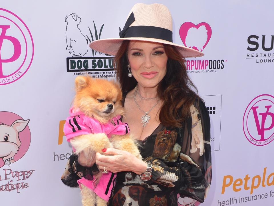 lisa vanderpump dogs