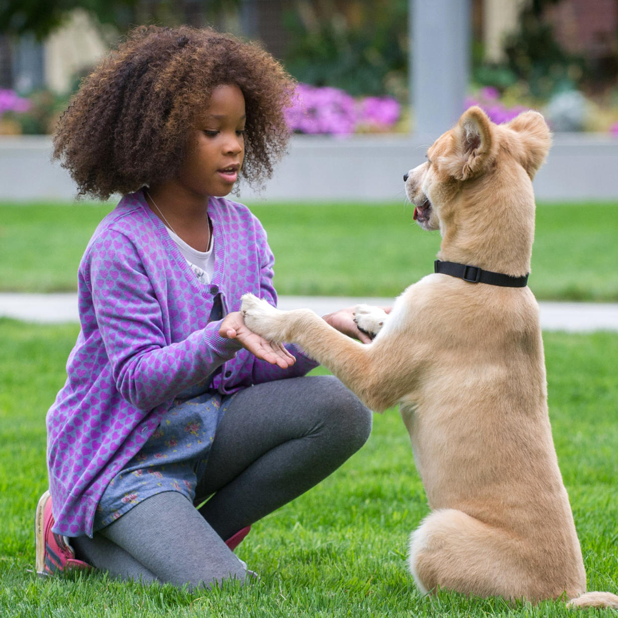 ANNIE, Quvenzhane Wallis in Annie (Everett Collection)