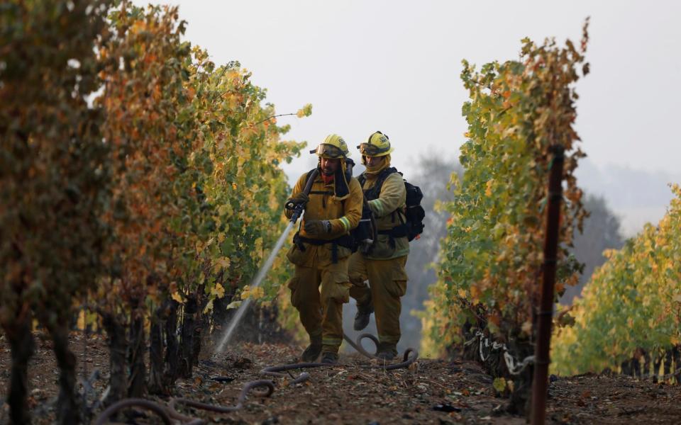 Firefighters in California wine country - REUTERS