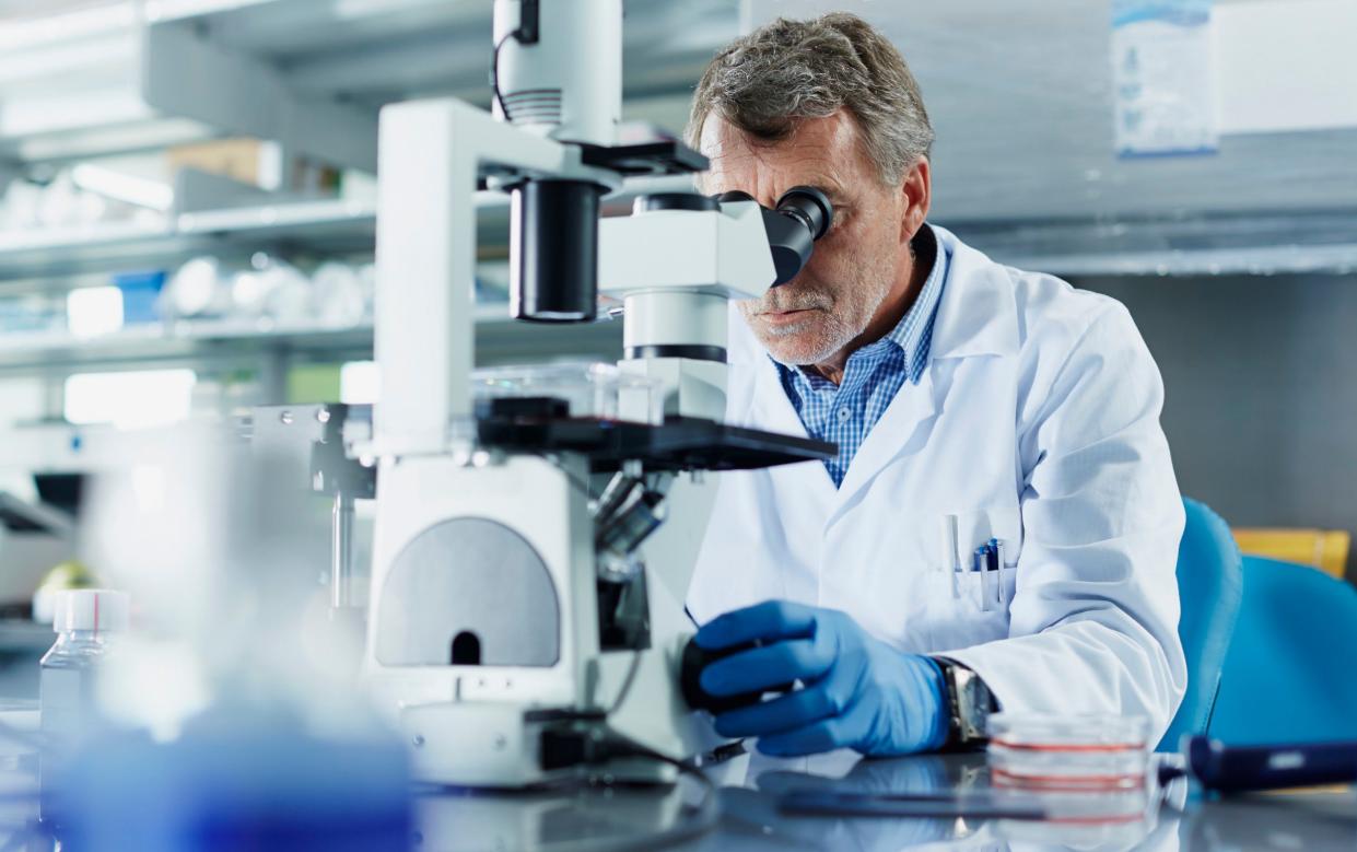 A scientist looks through a microscope