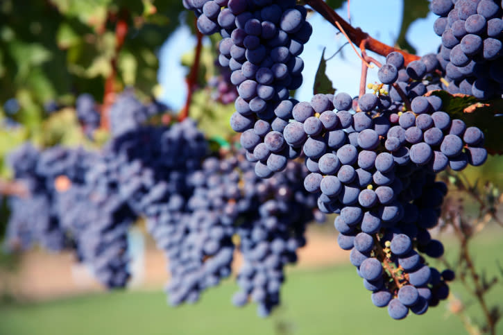 Las uvas tienen un alto contenido de antioxidantes / Foto: Thinkstock