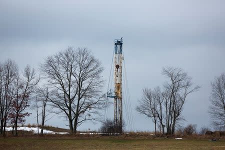 A Natural Gas rig operated by Chesapeake is picture in Bradford County, Pennsylvania just outside the town of Wyalusing, January 13, 2013. Wyalusing is located in the center of the Marcellus Shale, a deep repository of natural gas that runs through West Virginia, Ohio, Pennsylvania and New York, that the energy industry has aggressively sought to drill. REUTERS/Brett Carlsen