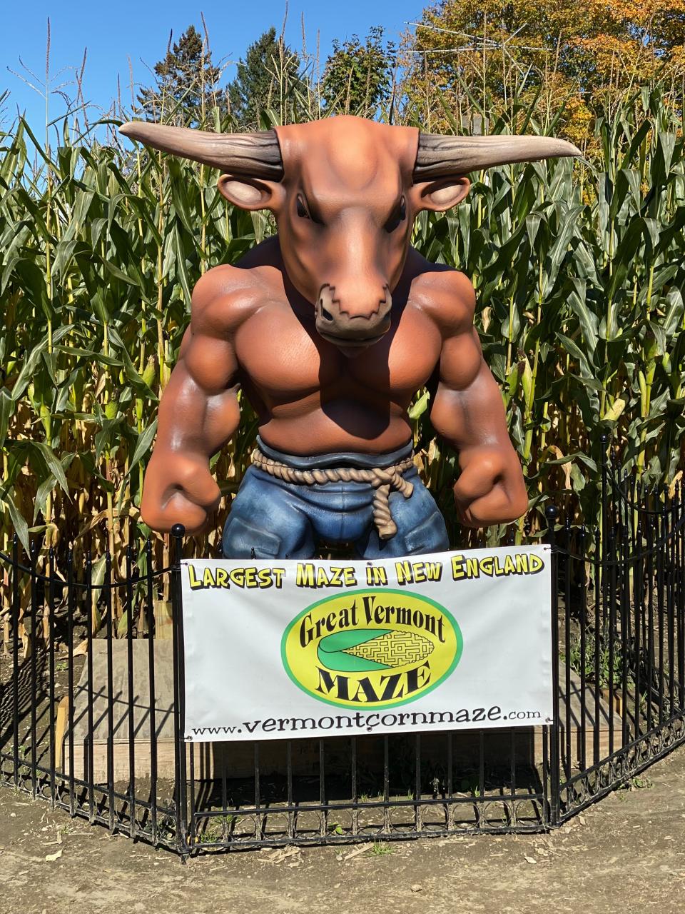 Not just in Greek myth or relegated to a labyrinth, a minotaur inhabits the Great Vermont Corn Maze in Danville on Oct. 5, 2019.
