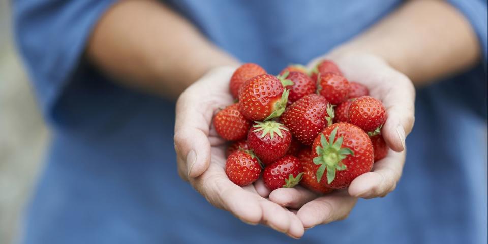 how to grow strawberries