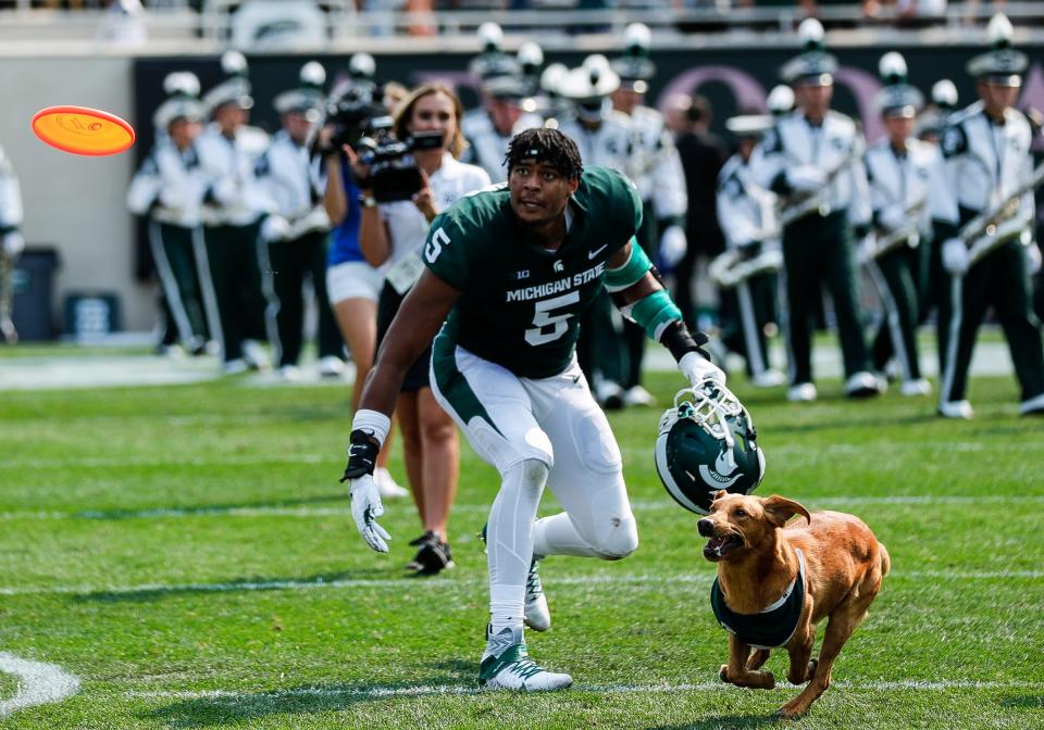 Michigan State defensive end Michael Fletcher (5) throws a frisbee for Zeke the Wonder Dog after the Spartans won 42-14 over Youngstown State at Spartan Stadium in East Lansing on Saturday, Sept. 11, 2021.