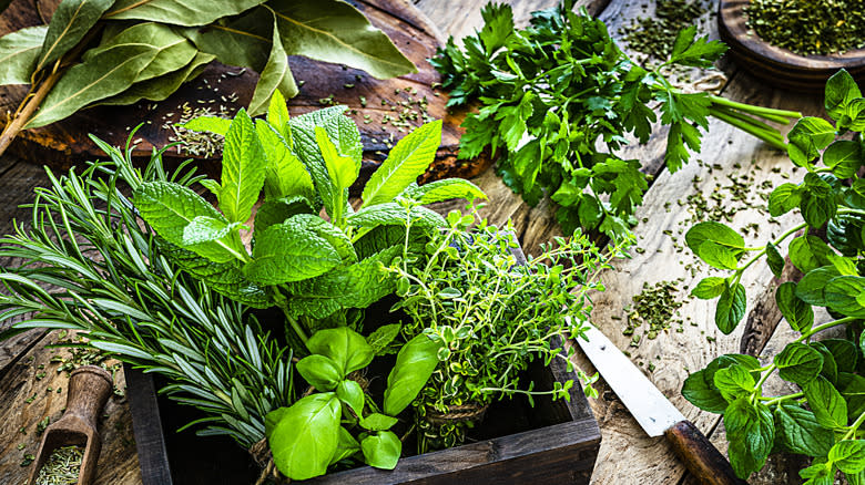 selection of fresh herbs