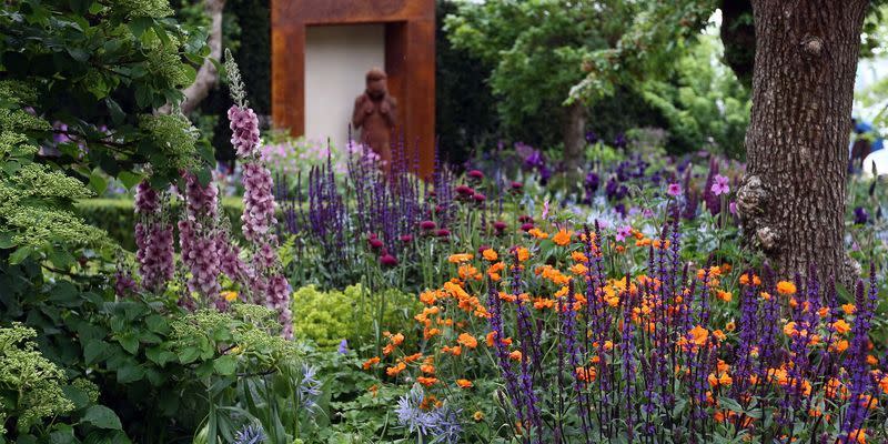 rhs chelsea flower show