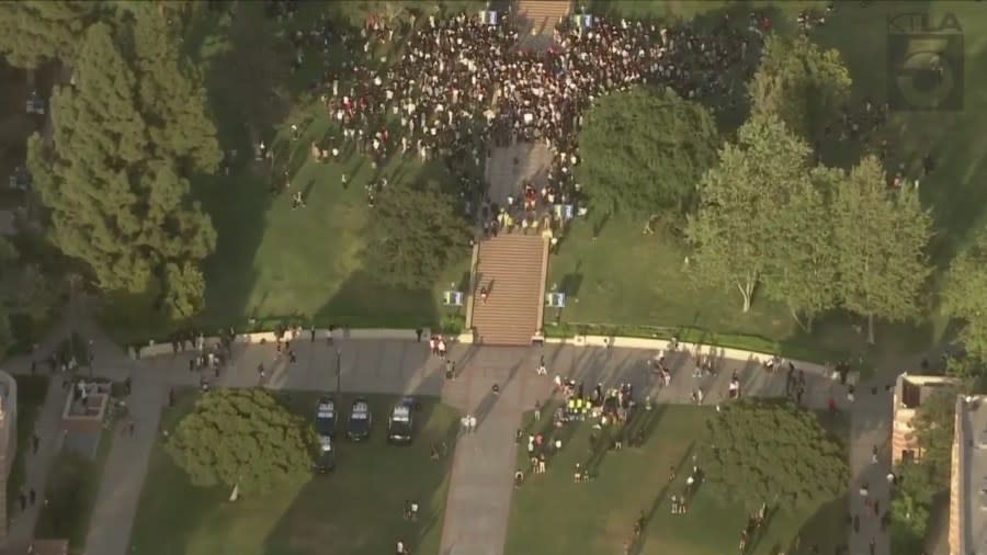 A large encampment of pro-Palestinian protestors gathered on the UCLA campus on May 1, 2024. (KTLA)