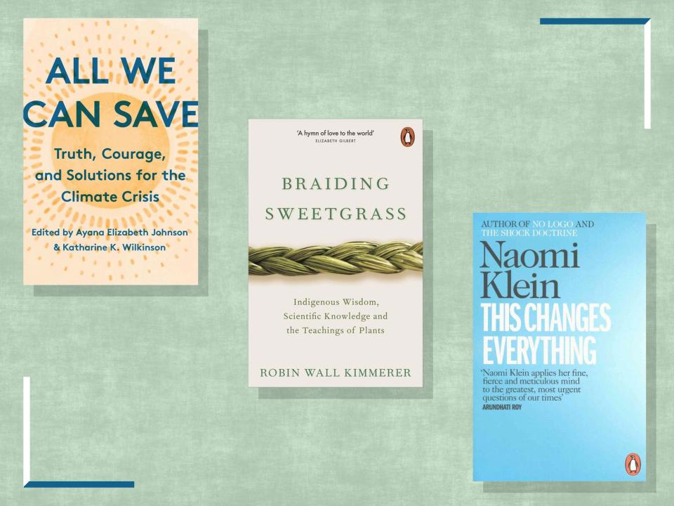 <p>These non-fiction tomes will arm you with the essential facts and offer hope about how we can achieve a just and clean energy future</p> (iStock/The Independent)