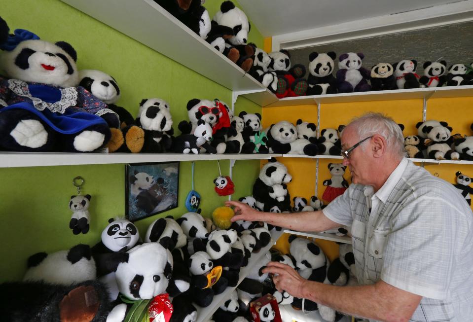 Andre Cornet arranges a soft toy, part of a collection of about 2,200 pieces of panda collectables, in his house in Haccourt March 11, 2014. REUTERS/Yves Herman (BELGIUM