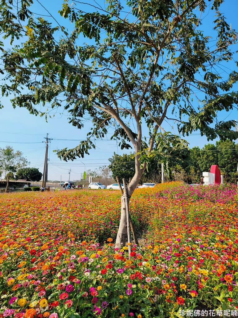 屏東｜新埤鄉綜合休閒公園