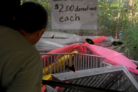 Brenda Hamilton, 62, looks at her business's boats among felled trees after Hurricane Irma in Everglades City, Florida, U.S., September 11, 2017. REUTERS/Bryan Woolston