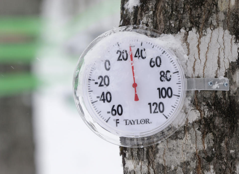 In this photo made Friday, March 21, 2014, a thermometer is mounted to a maple tree on land owned by the Passamaquoddy tribe near Jackman, Maine. When it gets above 32 degrees during the daytime it will be time for the sap to start flowing. (AP Photo/Robert F. Bukaty)