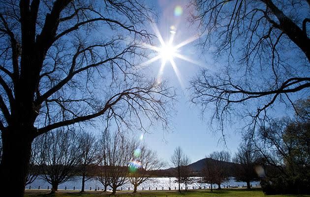 A walk around Lake Burley Griffin is perfect pet exercise. Photo: Be