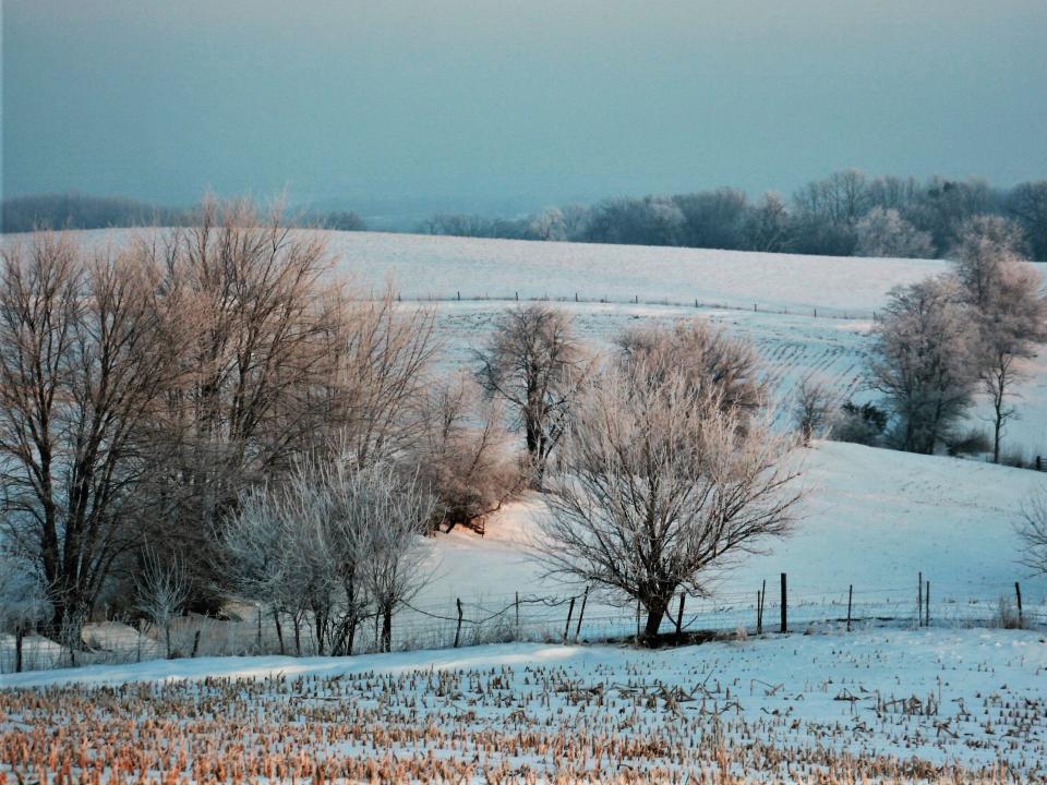 Iowa winter garden on full display.