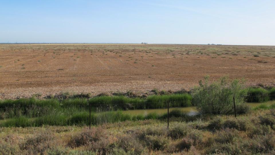Das Feuchtgebiet Doñana in Südspanien