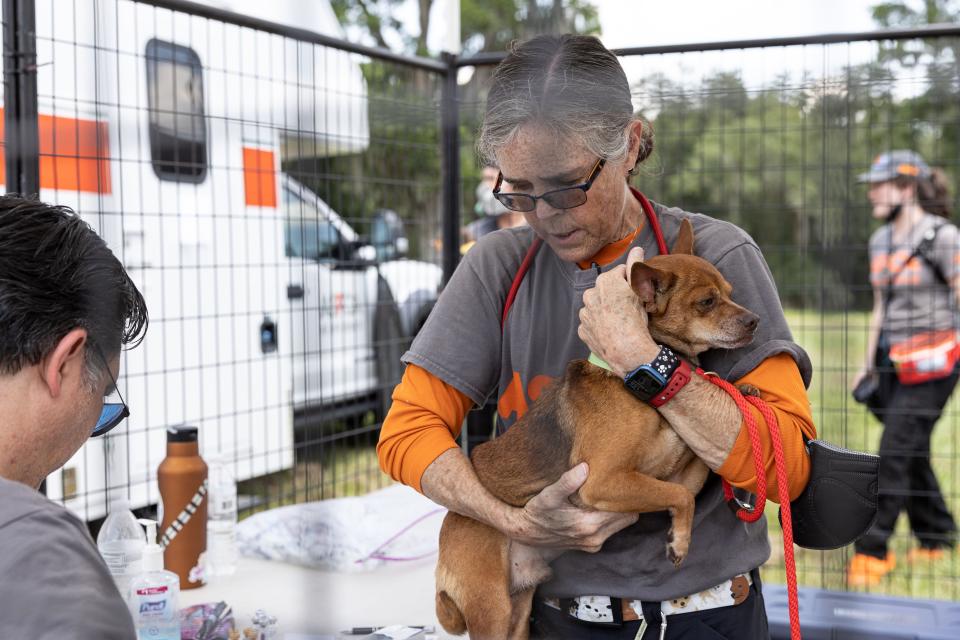 More than 50 dogs and cats “living in filthy conditions” were rescued Wednesday from a property on State Road 121 in Lake Butler, the Union County Sheriff’s Office said. UCSO and the Union County Animal Control requested the ASPCA’s assistance with rescuing the animals, which included newborn kittens.