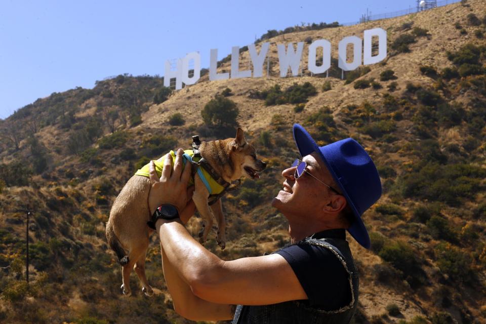 What dog doesn't love a hike? <span class="copyright">(Los Angeles Times)</span>