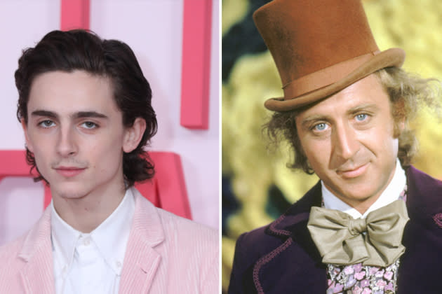 Timothee Chalamet to play young Willy Wonka in new movie