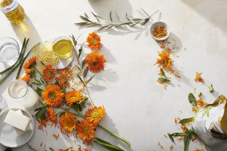 <p>“This hardy flower contains antioxidants that can <strong>help heal wounds</strong>. Make a salve by combining 16 oz extra virgin olive oil and about 1 cup dried calendula flowers in a double boiler on low; simmer for about 30 minutes until the oil takes on a yellowish hue and has a sweet scent. Strain out the flowers, then add 4 oz beeswax pellets, stirring until melted.”</p><p><em>—Aubrey Corbett, N.D., a naturopathic physician and resident at the National University of Natural Medicine in Portland, OR</em></p>