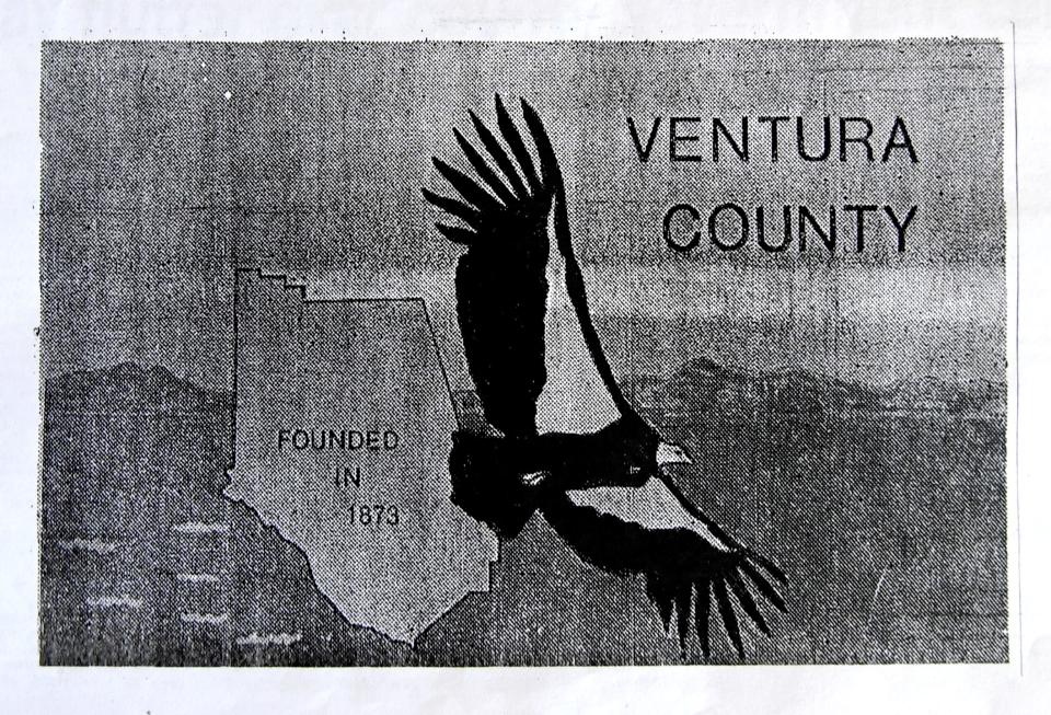 A copy of Leroy "Buddy" Gibson Jr.'s original design for Ventura County's first official flag shows a condor in flight. Less than a month after the flag was first approved, a new Board of Supervisors rescinded the decision to adopt the flag in January 1977.