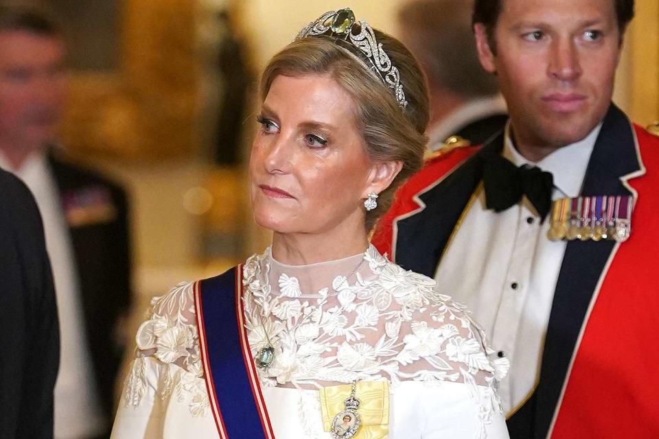 <p>Yui Mok-WPA Pool/Getty Images</p> Sophie, Duchess of Edinburgh attends the State Banquet at Buckingham Palace on November 21.