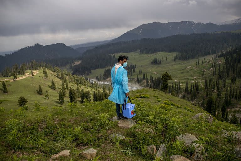 El trabajador de la salud Nazir Ahmed lleva una hielera con vacunas y mira desde una colina para que los pastores de Cachemira se vacunen en Tosamaidan, al suroeste de Srinagar, Cachemira controlada por India, el 21 de junio 
