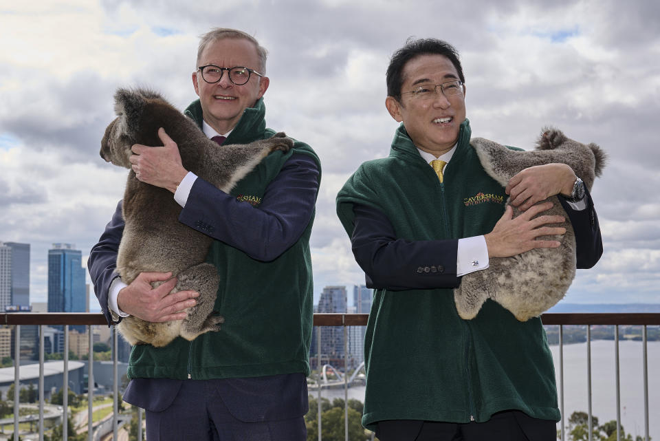Japan's Prime Minister Fumio Kishida, right, and Australian Prime Minister Anthony Albanese hold koalas during a visit to Kings Park in Perth, Australia, Saturday, Oct. 22, 2022. Kishida is on a visit to bolster military and energy cooperation between Australia and Japan amid their shared concerns about China. (Stefan Gosatti/Pool Photo via AP)