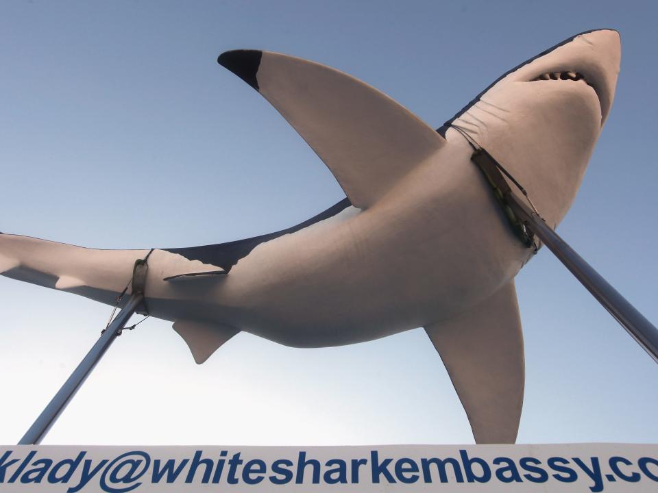 A photo of a Styrofoam shark propped on top of a tourism shack.