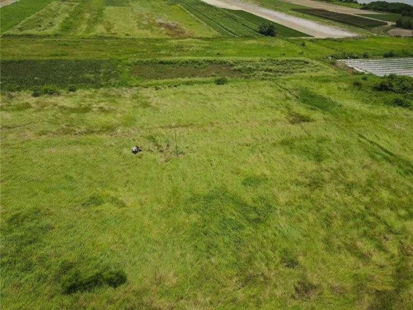 河灘地上一整片的草原及周邊鑲嵌的農田是草鴞喜愛使用的棲地。（圖／林業署嘉義分署提供／寶智華台南傳真）