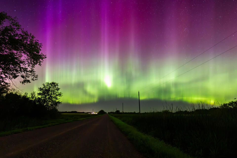 curtains of green light are topped with curtains of purple light for as far as the eyes can see, the entire sky is filled with color. Silhouetted trees are on the left of the image.